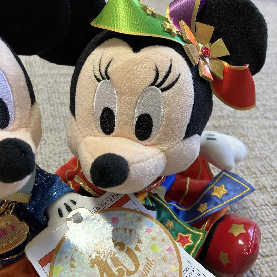 Disney(ディズニー)のディズニーグランドフィナーレぬいぐるみ２個アクセサリー付き エンタメ/ホビーのおもちゃ/ぬいぐるみ(キャラクターグッズ)の商品写真