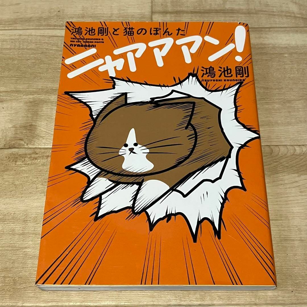 鴻池剛と猫のぽんた ニャアアアン! エンタメ/ホビーの漫画(4コマ漫画)の商品写真