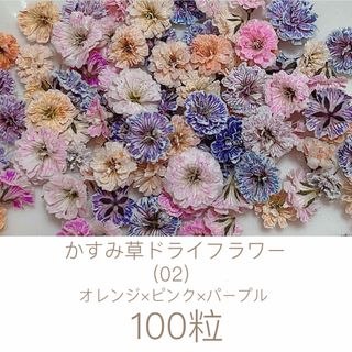 (02)かすみ草ドライフラワー100粒(ドライフラワー)