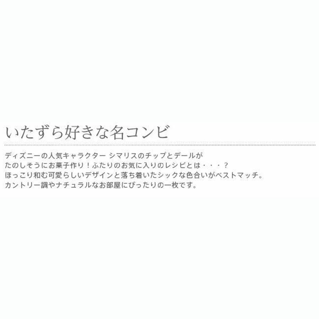 かわいいコンビ！ディズニー【チップ&デール】 85×150cm インテリア/住まい/日用品のカーテン/ブラインド(のれん)の商品写真