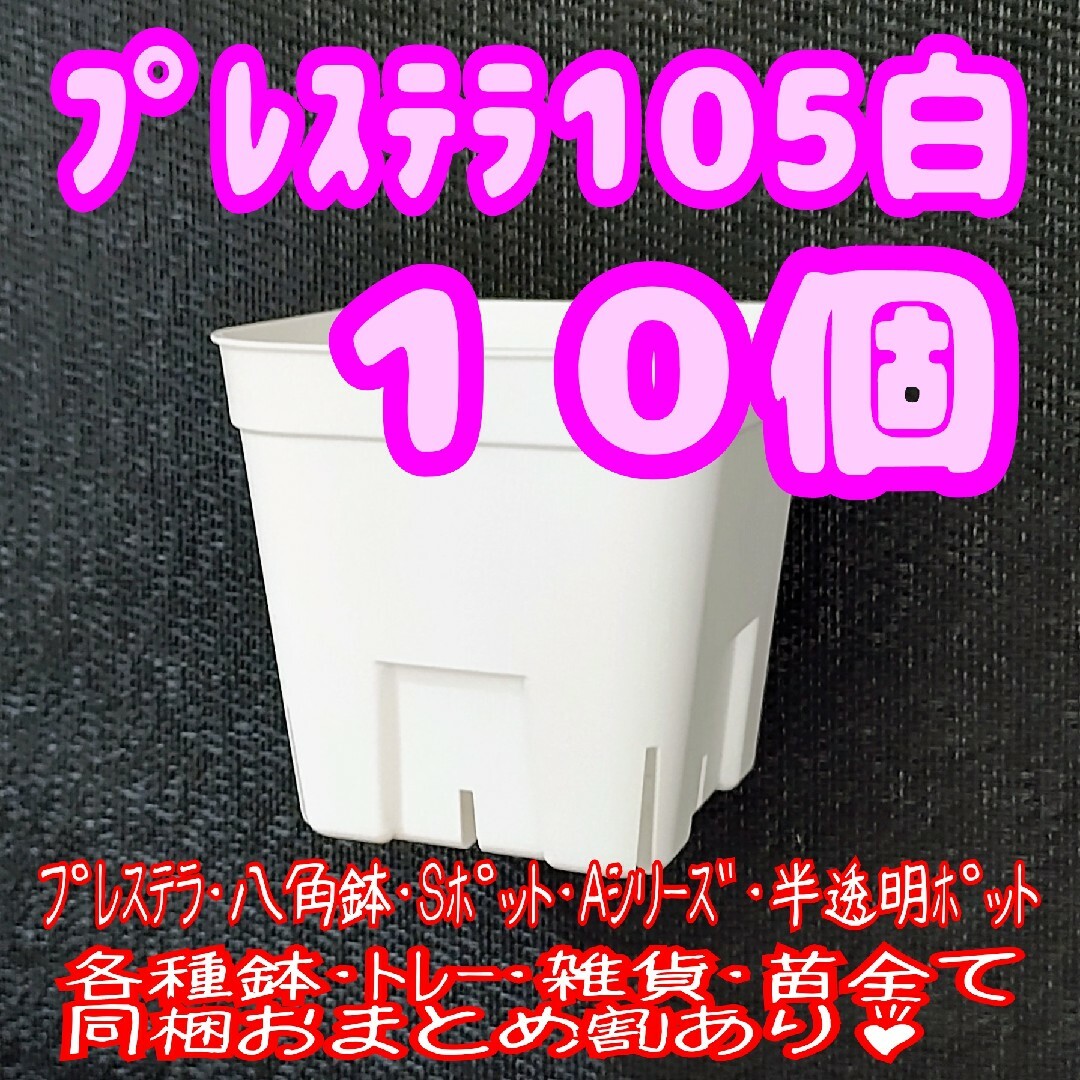 【スリット鉢】プレステラ105白10個 多肉植物 プラ鉢 ハンドメイドのフラワー/ガーデン(プランター)の商品写真