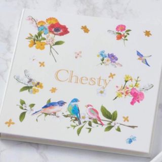 チェスティ(Chesty)の新品♡Chesty♡レターブック♡便箋♡チェスティ♡(その他)