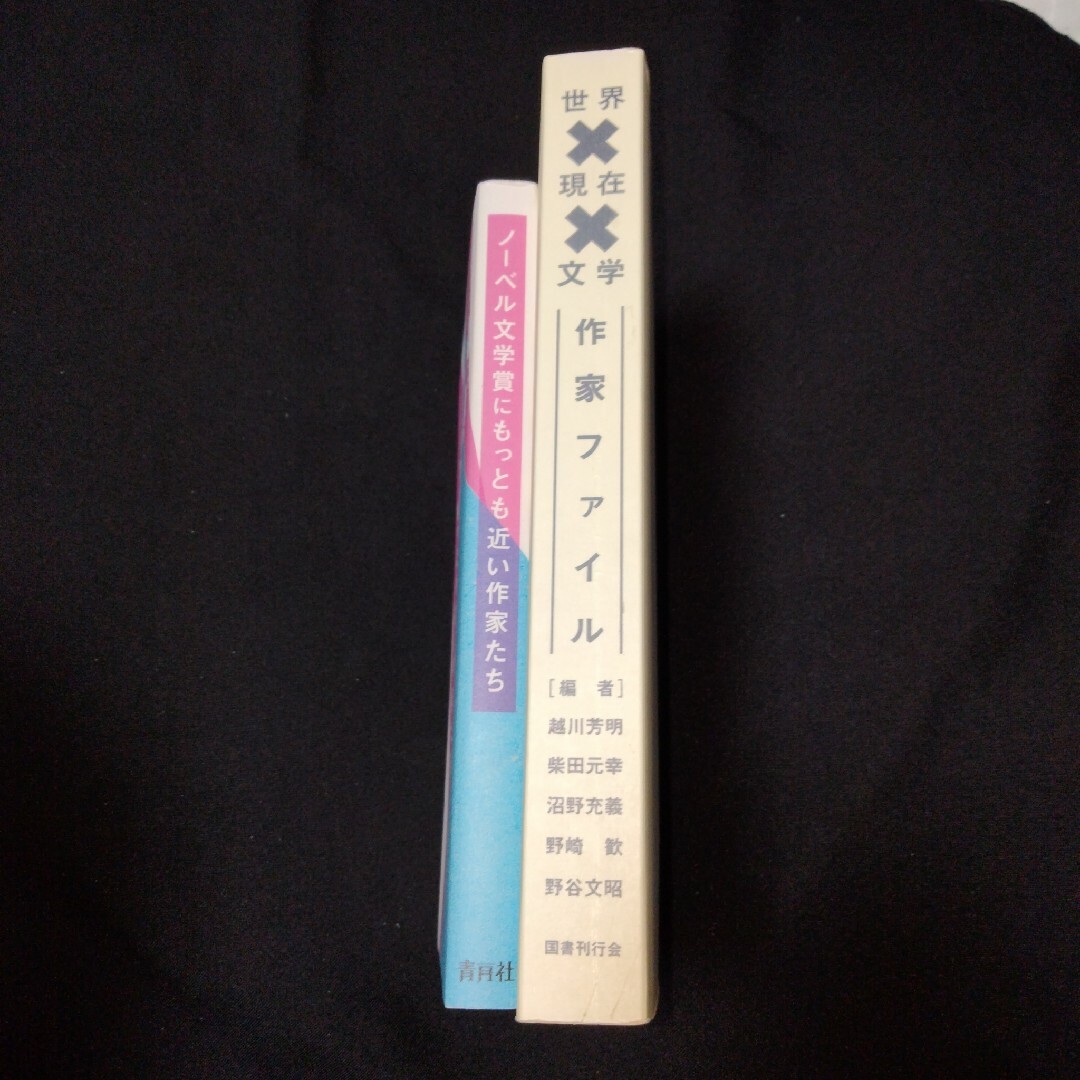 【作家名鑑】ノーベル文学賞にもっとも近い作家たち/世界×現在×文学―作家ファイル エンタメ/ホビーの本(文学/小説)の商品写真