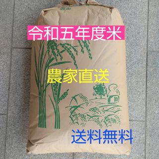 コシヒカリ 10kg ※ 無農薬 玄米 日本国産 農家直送 美容健康 即日配送無農薬米