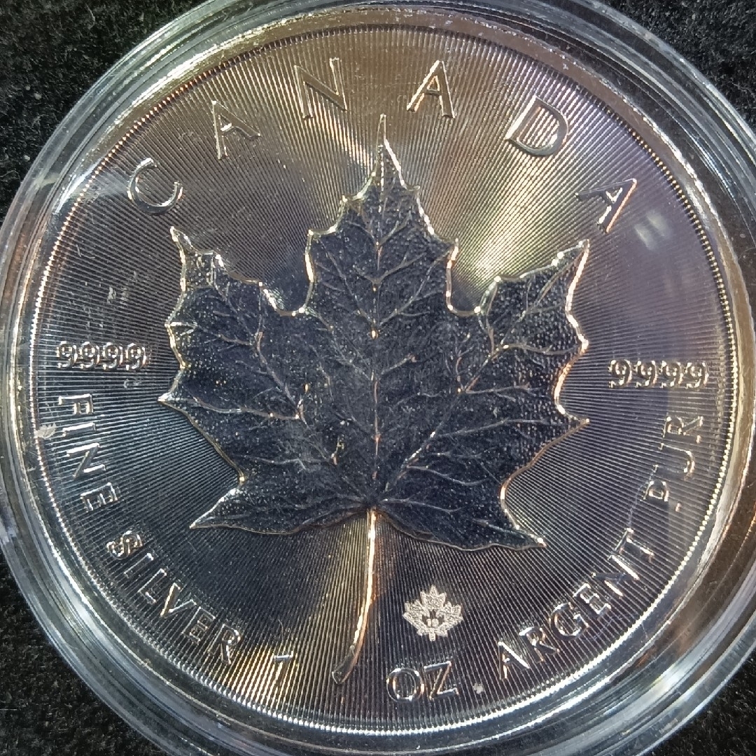 銀貨 メイプルリーフ銀貨 カナダ 2019年 1オンス銀貨 カプセル 銀貨 メイプルリーフ銀貨 カナダ 2019年 1オンス銀貨 カプセル