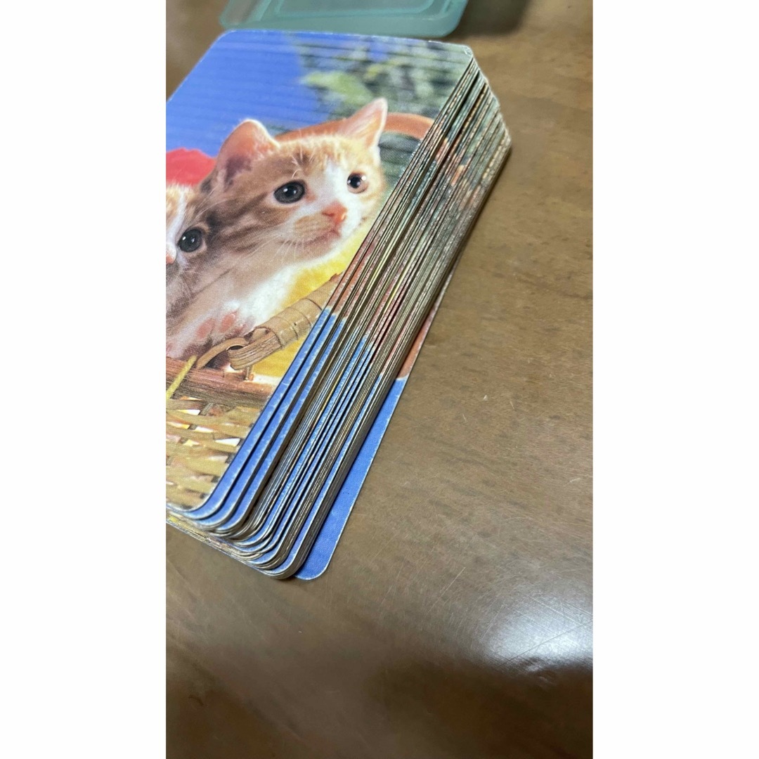 猫ちゃん　トランプ エンタメ/ホビーのテーブルゲーム/ホビー(トランプ/UNO)の商品写真