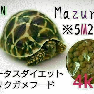 mazuri トータスダイエット5M21 4000g リクガメフード(爬虫類/両生類用品)