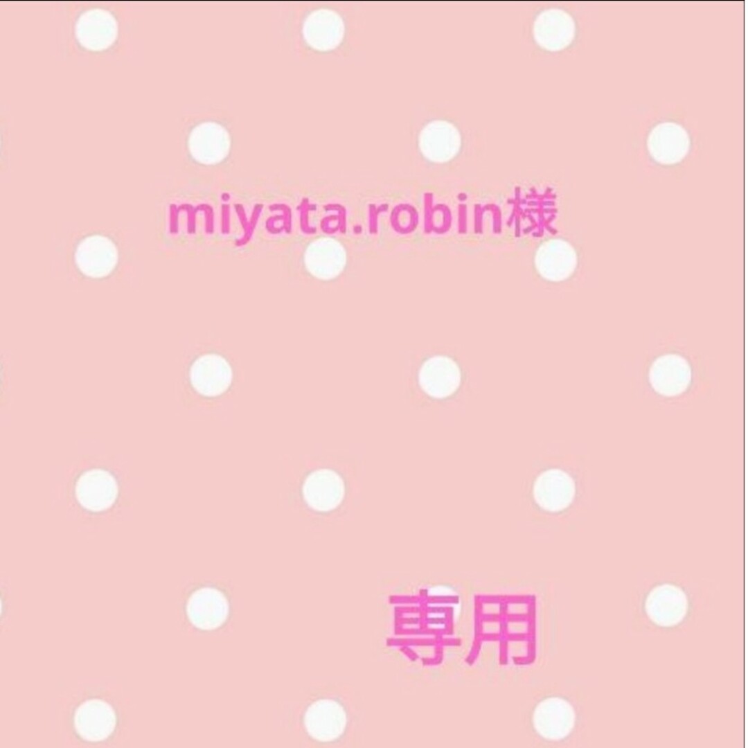 さくらんぼ　花柄　ピンク　体操着袋　入学　入園 ハンドメイドのキッズ/ベビー(外出用品)の商品写真