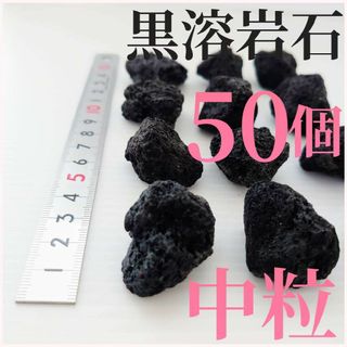 【希少】黒溶岩石 50個【中粒】☆アクアリウム、テラリウム、コケリウムに最適(アクアリウム)