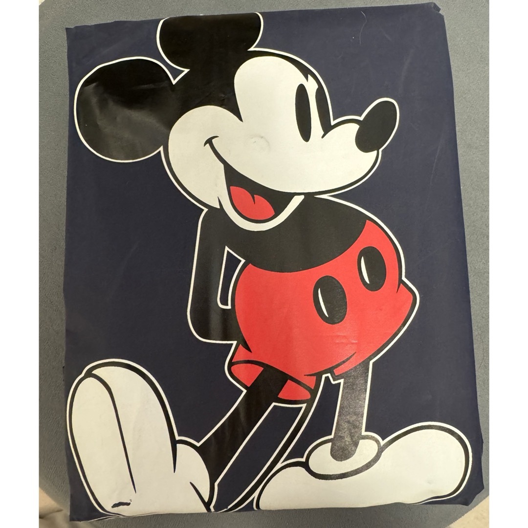 Disney(ディズニー)のディズニーランド　レインポンチョ　Sサイズ レディースのファッション小物(レインコート)の商品写真