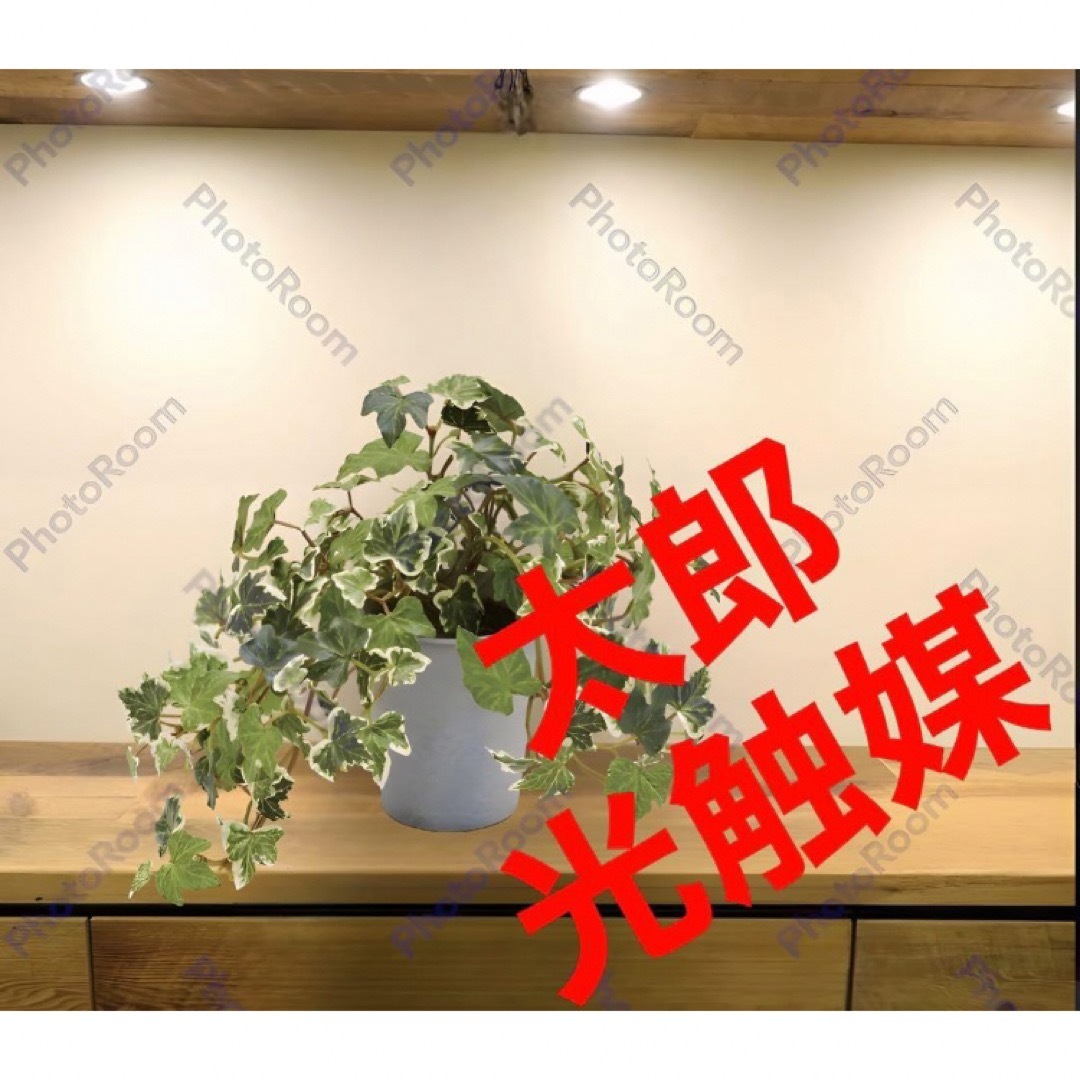 光触媒　人工観葉植物　ウォールグリーン　フェイクグリーン　イングリッシュアイビー インテリア/住まい/日用品のインテリア小物(置物)の商品写真