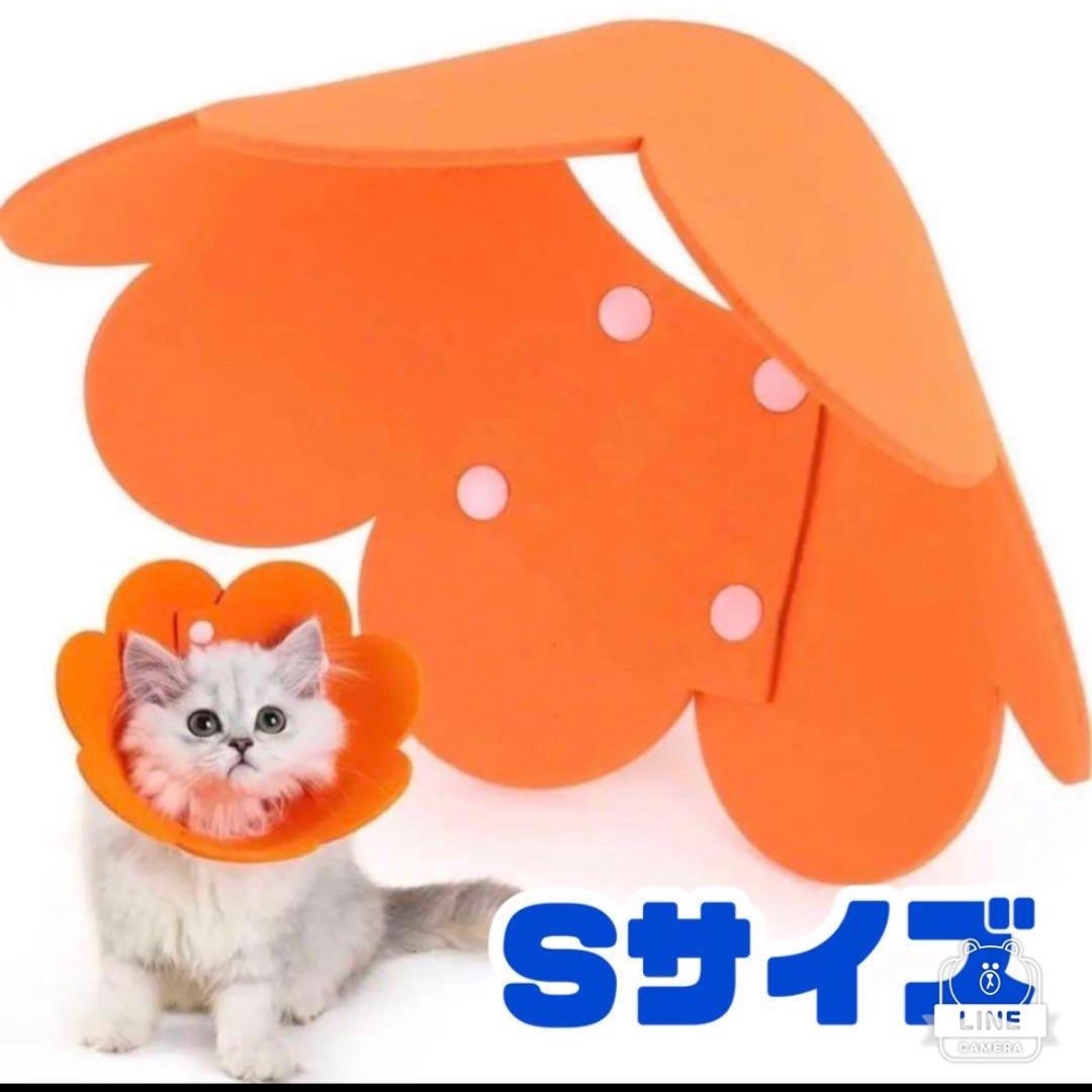 猫 犬 エリザベスカラー 軽量 術後 傷口保護 術後ウェア S オレンジ その他のペット用品(猫)の商品写真