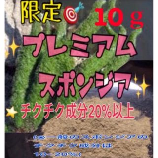 ⭐️プレミアムスポンジア10g⭐️人気商品⭐️剥離あり(その他)