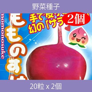 野菜種子 EAU もものすけ(サラダカブ) 20粒 x 2個(野菜)