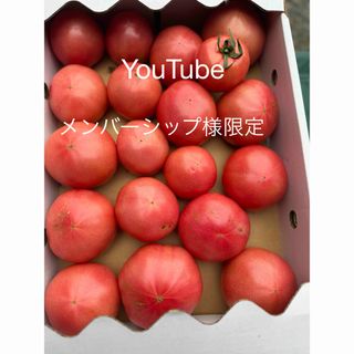 規格外トマト(野菜)