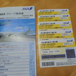 エーエヌエー(ゼンニッポンクウユ)(ANA(全日本空輸))のANA　株主優待券(航空券)