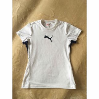 PUMA - プーマ　ランニングシャツ　Tシャツ　スポーツウエア　レディース