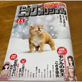 ショウガクカン(小学館)のビッグコミックオリジナル　2月5日号(漫画雑誌)