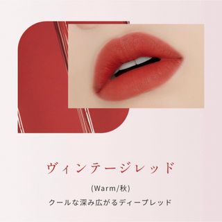 エチュードハウス(ETUDE HOUSE)のETUDE HOUSE フィクシングティント(口紅)