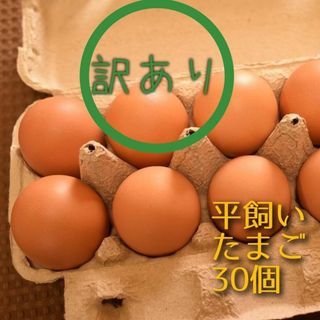 訳あり　平飼い卵　10個入り3パック 国産もみじの卵　新鮮　産みたて(その他)