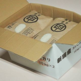 令和5年度産 　新潟こしひかり　20kg(5kg×4袋)　特別栽培米(米/穀物)