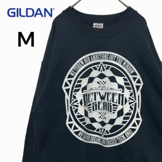 ギルタン(GILDAN)のインポート古着！GILDAN/ギルダン　ビッグロゴスウェット　L(スウェット)