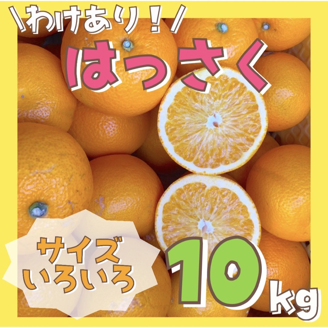 わけあり！和歌山 八朔 サイズ混合 10kg はっさく 有田みかん 食品/飲料/酒の食品(フルーツ)の商品写真