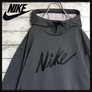 ナイキ(NIKE)の【美品】ナイキ　希少小文字ロゴパーカー　人気L　裏起毛　グレー　H620(パーカー)