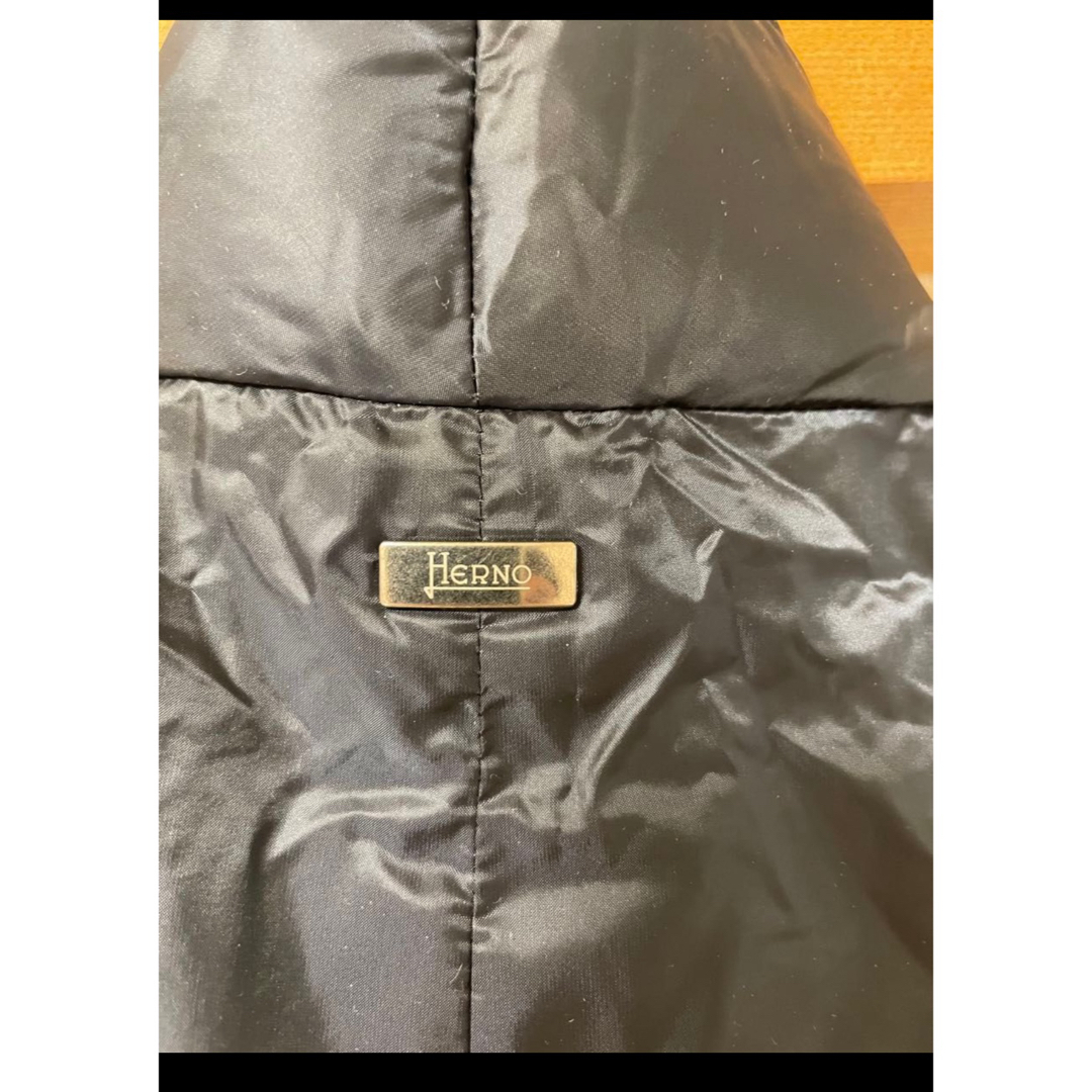 HERNO(ヘルノ)のHERNO ヘルノ　ダウンジレ サイズ46 メンズのジャケット/アウター(ダウンベスト)の商品写真