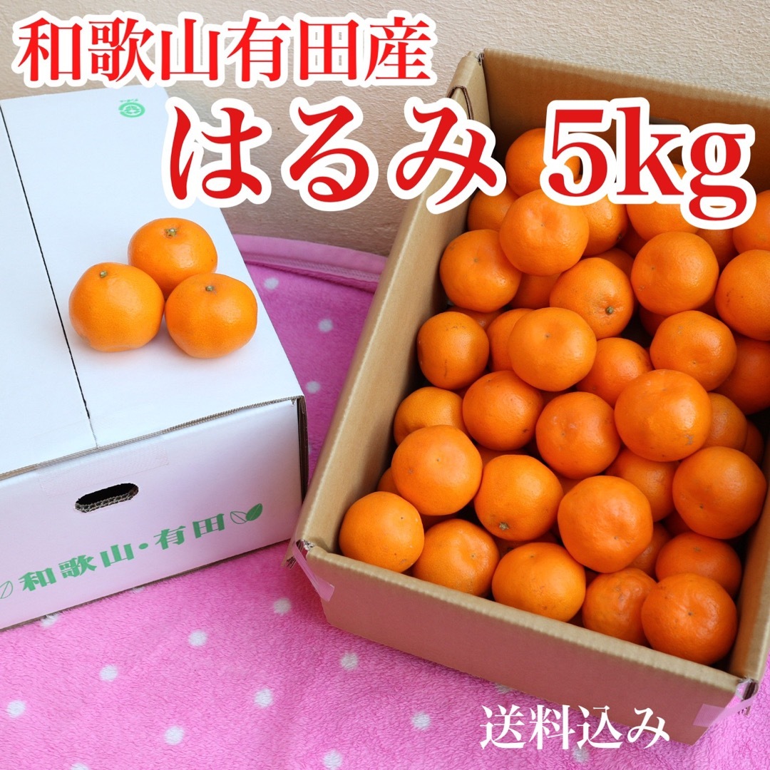 和歌山有田産　はるみ　5kg 送料込み 食品/飲料/酒の食品(フルーツ)の商品写真