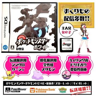 ニンテンドーDS(ニンテンドーDS)のポケットモンスター ホワイト(携帯用ゲームソフト)