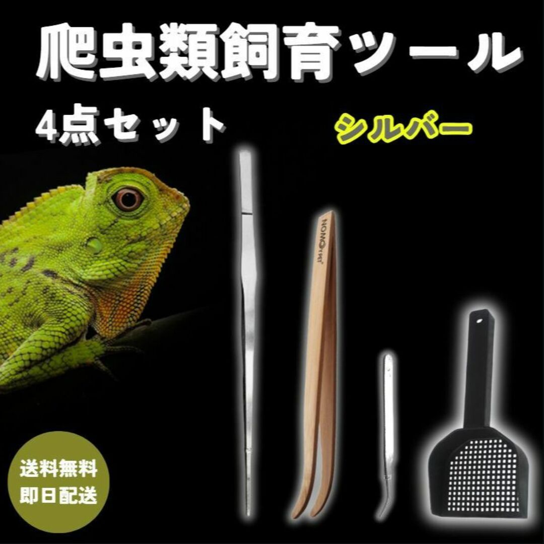 爬虫飼育4点set【銀】 ピンセット／スプーン 両生類 レオパ ヒョウモントカゲ その他のペット用品(爬虫類/両生類用品)の商品写真