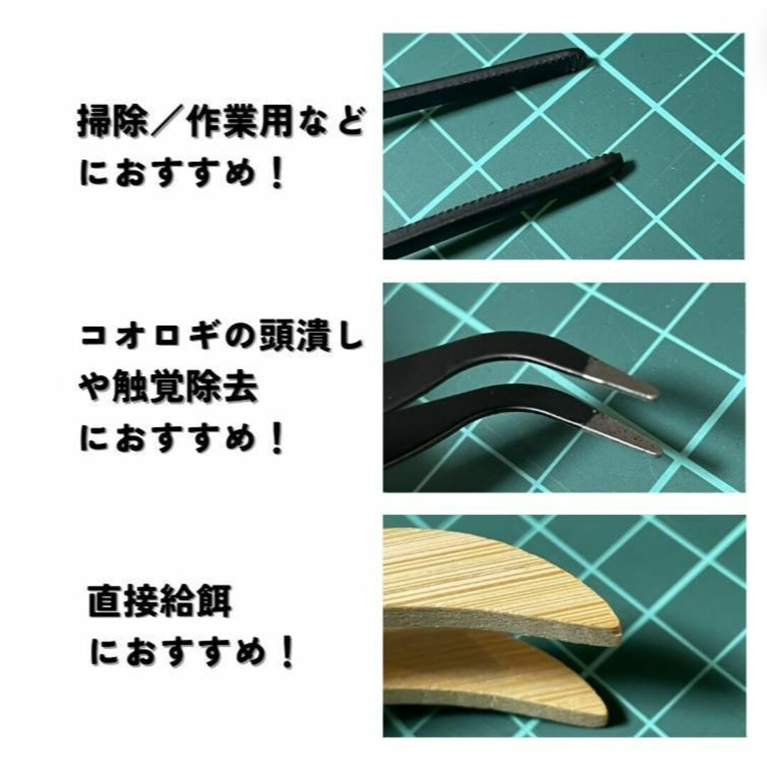 爬虫飼育4点set【黒】 ピンセット／スプーン 両生類 レオパ ヒョウモントカゲ その他のペット用品(爬虫類/両生類用品)の商品写真