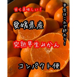 愛媛県産　完熟早生みかん　コンパクト便　柑橘　ミカン(フルーツ)
