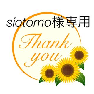 siotomo様専用(その他)