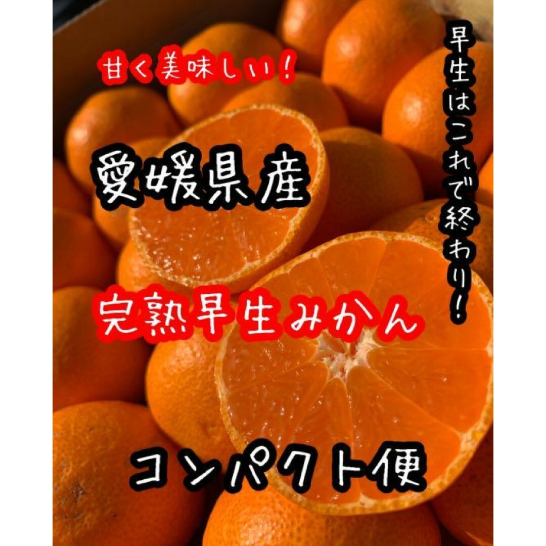 愛媛県産　完熟早生みかん　コンパクト便　柑橘　ミカン 食品/飲料/酒の食品(フルーツ)の商品写真