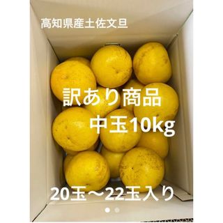 高知県産土佐文旦訳あり商品(中玉)10kg(フルーツ)