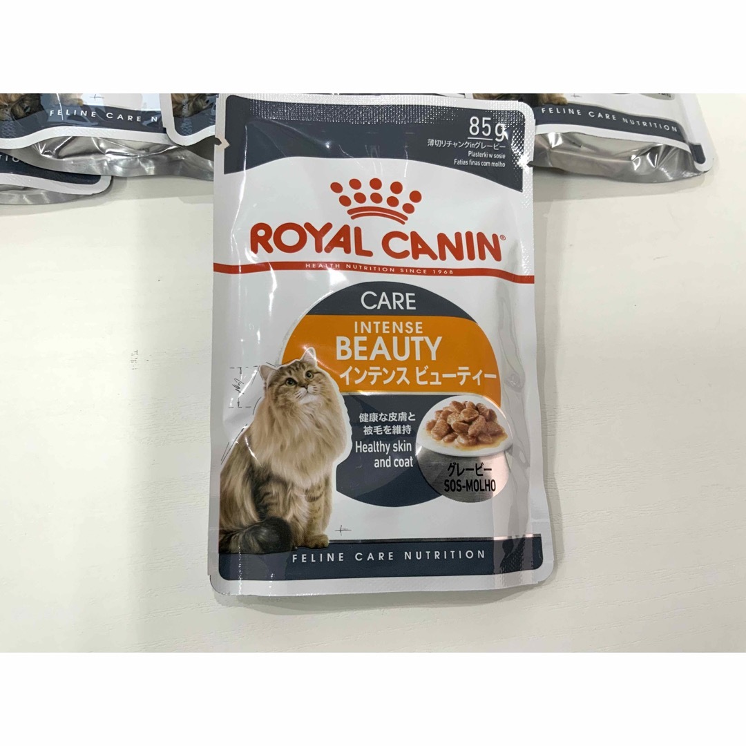 ROYAL CANIN(ロイヤルカナン)のロイヤルカナン・インテンスビューティー・グレービー85g×12個  その他のペット用品(ペットフード)の商品写真