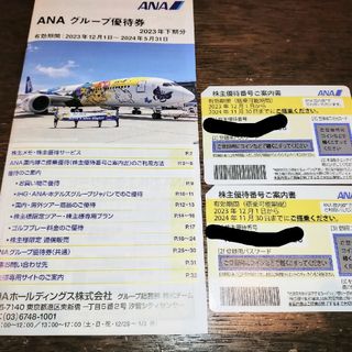 エーエヌエー(ゼンニッポンクウユ)(ANA(全日本空輸))のANA株主優待券  2枚 全日空(その他)