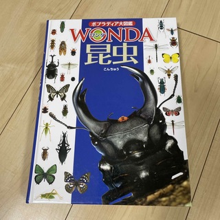 WANDA 昆虫図鑑 ポプラディア大図鑑(絵本/児童書)