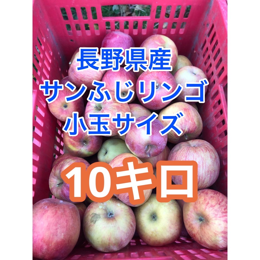 長野県産「サンふじ」リンゴ　小玉10キロ 食品/飲料/酒の食品(フルーツ)の商品写真