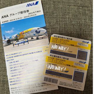 エーエヌエー(ゼンニッポンクウユ)(ANA(全日本空輸))の【ANA】株主優待券 2枚(その他)