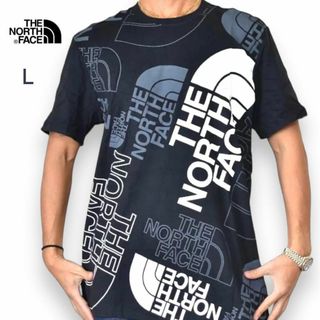 THE NORTH FACE - ☆カムイ様専用☆Asymmetry Logo Tee Lサイズの通販 ...