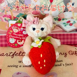 おもちゃ/ぬいぐるみ新品♡ダッフィー♡シェリーメイ♡ウィンターホリデー♡プレゼントボックス♡