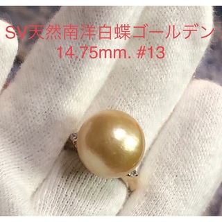 SV天然南洋白蝶ゴールデン真珠　超大珠　丸系リング　14.75mm #13(リング(指輪))