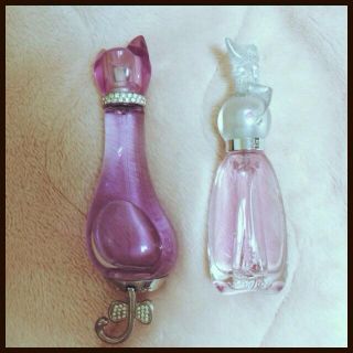 アナスイ(ANNA SUI)のネコの香水♡(香水(女性用))