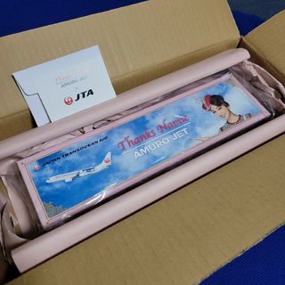 ジャル(ニホンコウクウ)(JAL(日本航空))の安室奈美恵 ★ AMURO JET★JTA 737-800★モデルプレーン(ミュージシャン)