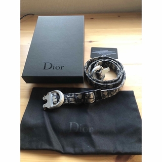 ディオール(Dior)の人気希少　Dior オブリーク  ALYX  ローラーコースターベルト　廃盤品(ベルト)