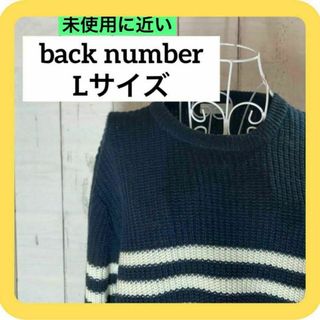 バックナンバー(BACK NUMBER)の《極美品》back number Lサイズ　セーター　ニット　ホワイト　ボーダー(ニット/セーター)