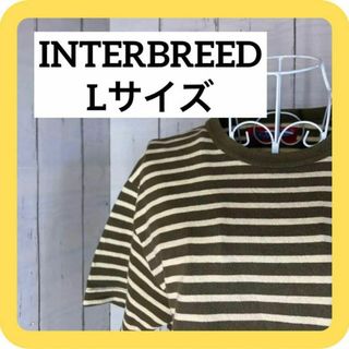 インターブリード(INTERBREED)の《激推し SALE》INTERBREED Lサイズ　綿100% 半袖　ボーダー(Tシャツ/カットソー(半袖/袖なし))